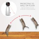 Stimulating Exercise Toy for Cats