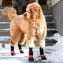 Pet Boots - Protect Your Best Friend No Matter The Season!